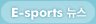 e-Sport 뉴스